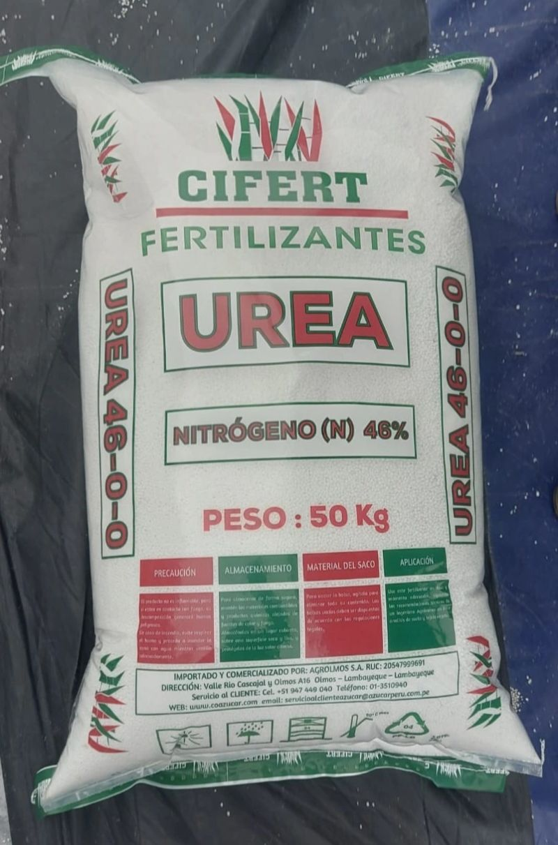 Networking entre empresarios